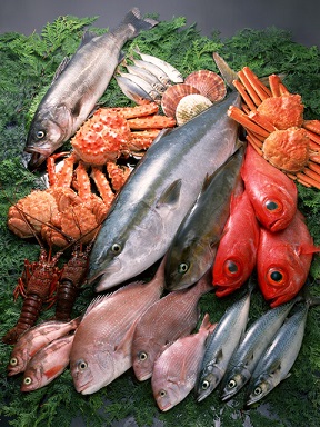 fish.jpg
